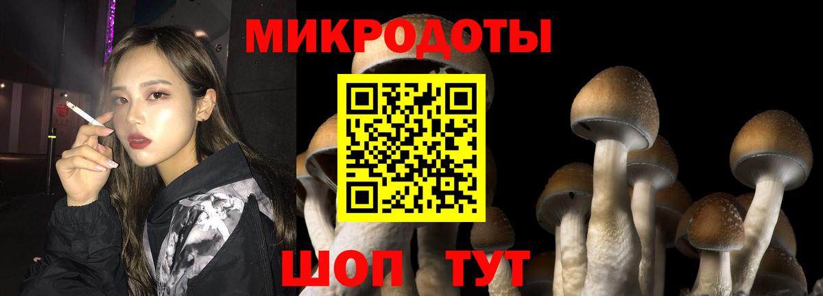 Видное  Псилоцибиновые грибы ЛСД  Вход с VPN 